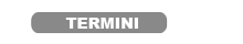Termini e condizioni d'uso.